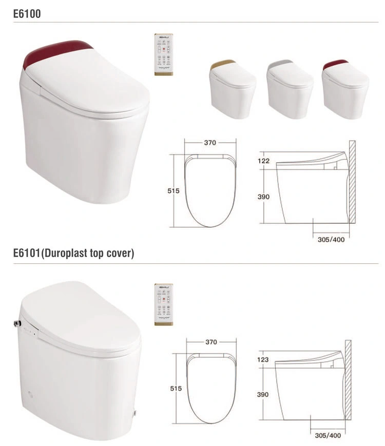 Fashion Egg Design Automatic Sensor Flushing and Open Toilet Smart Electric Bidet