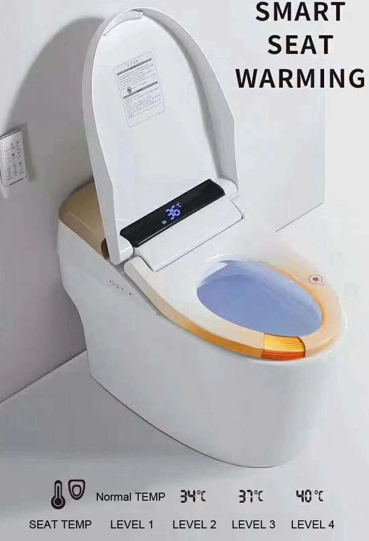 Fashion Egg Design Automatic Sensor Flushing and Open Toilet Smart Electric Bidet