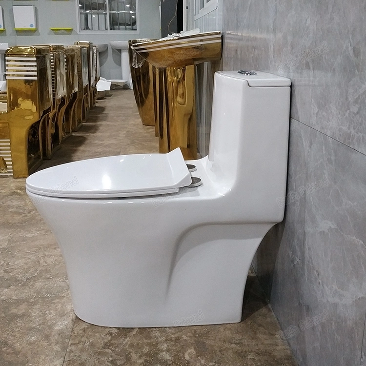 Hot Selling in Nepal Wc Toilet Sanitary Modern Design Easy Clean Ceramic 4D Siphon One Piece Toilet