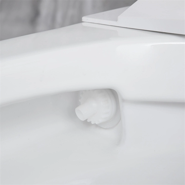 Ovs Cupc ETL Ceramic Smart Bidet Seat Toilet with Remote Control