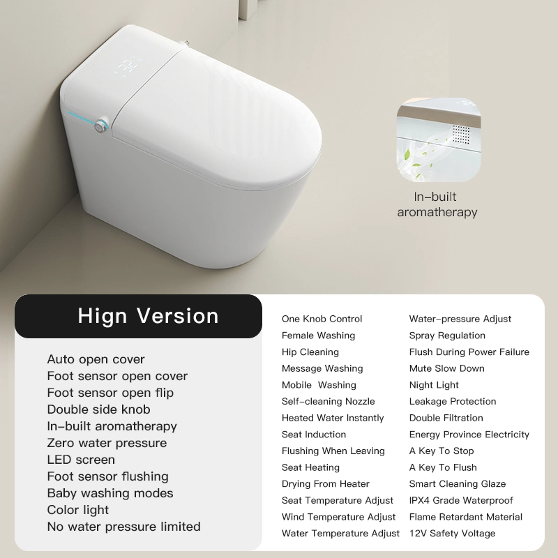 Smart Toilet Automatic Flush Toilet Instant Heating Seat