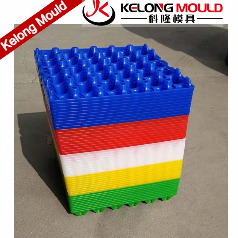 Customized Plastic Egg Tray Mould of Difference Sizes Injection Molds