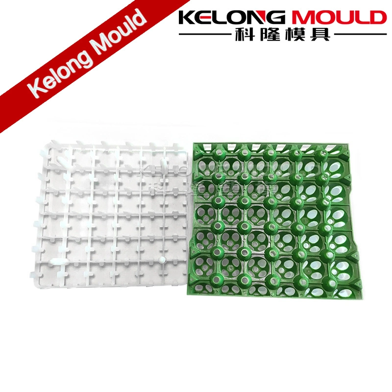 Customized Plastic Egg Tray Mould of Difference Sizes Injection Molds