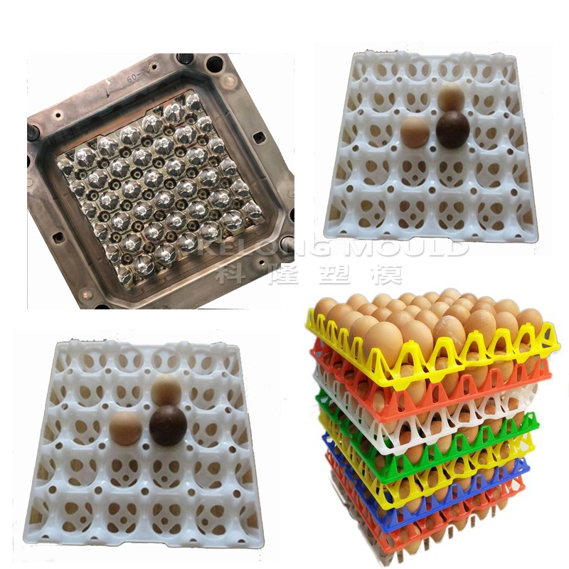 Customized Plastic Egg Tray Mould of Difference Sizes Injection Molds