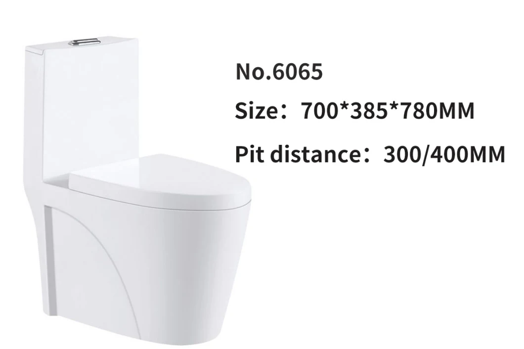 Chaozhou Factory New Design Sanitary Ware Bathroom Hot Sell Middle East Saber Ceramic Bidet Wc Toilet