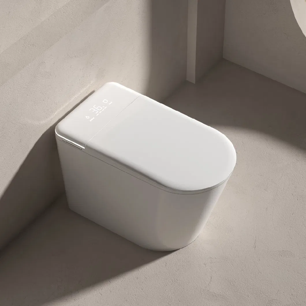 Modern Intelligent One Piece Ceramic Sanitary Ware Bathroom Automatic Smart Toilet