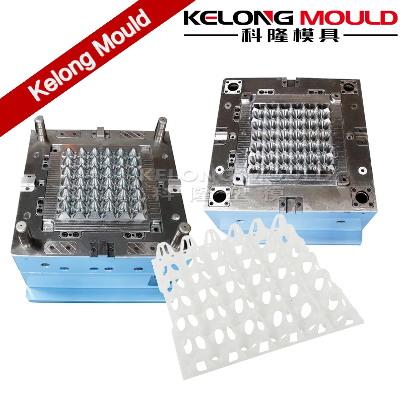 Customized Plastic Egg Tray Mould of Difference Sizes Injection Molds