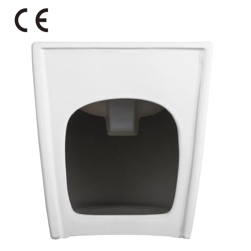 CE Standard Toilet Suite Ceramica Luxury P-Trap Floor Mounted Bidet