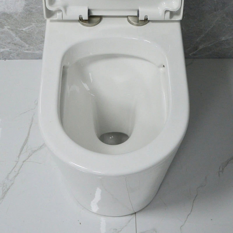 Easy Clean Water Closet Wc Siphon Flush Toilets