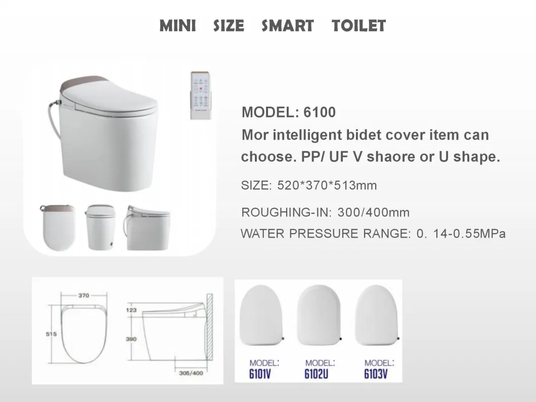 Bidet Toilet Seat with Remote Control