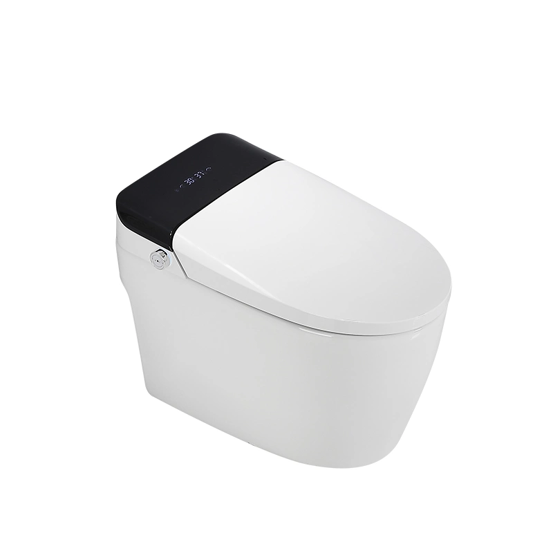 High End Smart Intelligent Multi-Function Auto Cleaner Seat Toilet with Remote Control