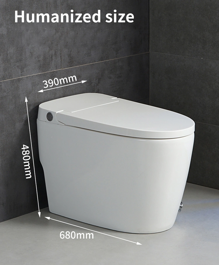 Bidet Smart Toilet Bidet System