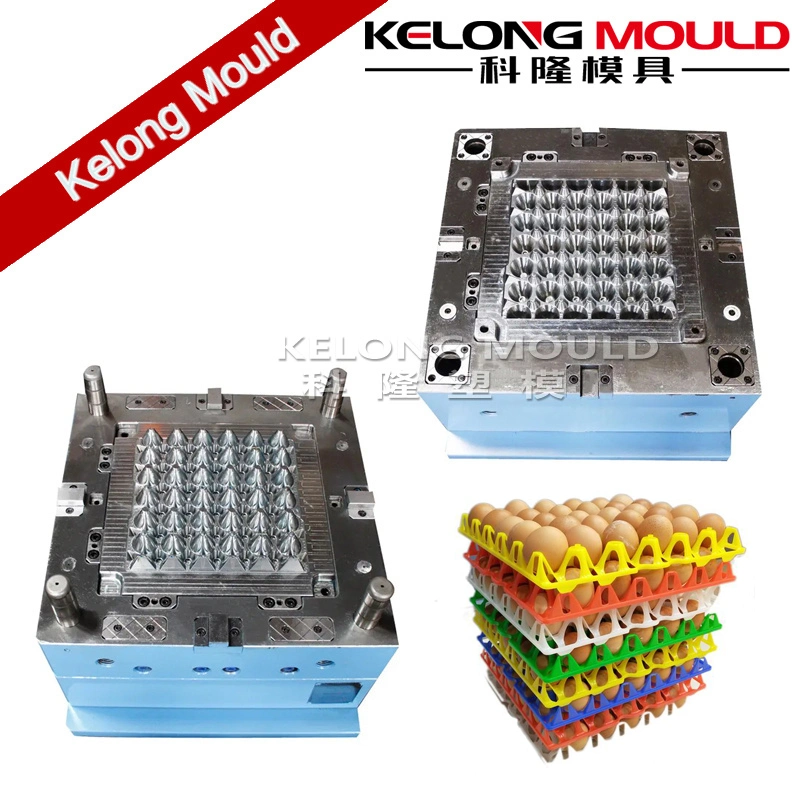 Customized Plastic Egg Tray Mould of Difference Sizes Injection Molds