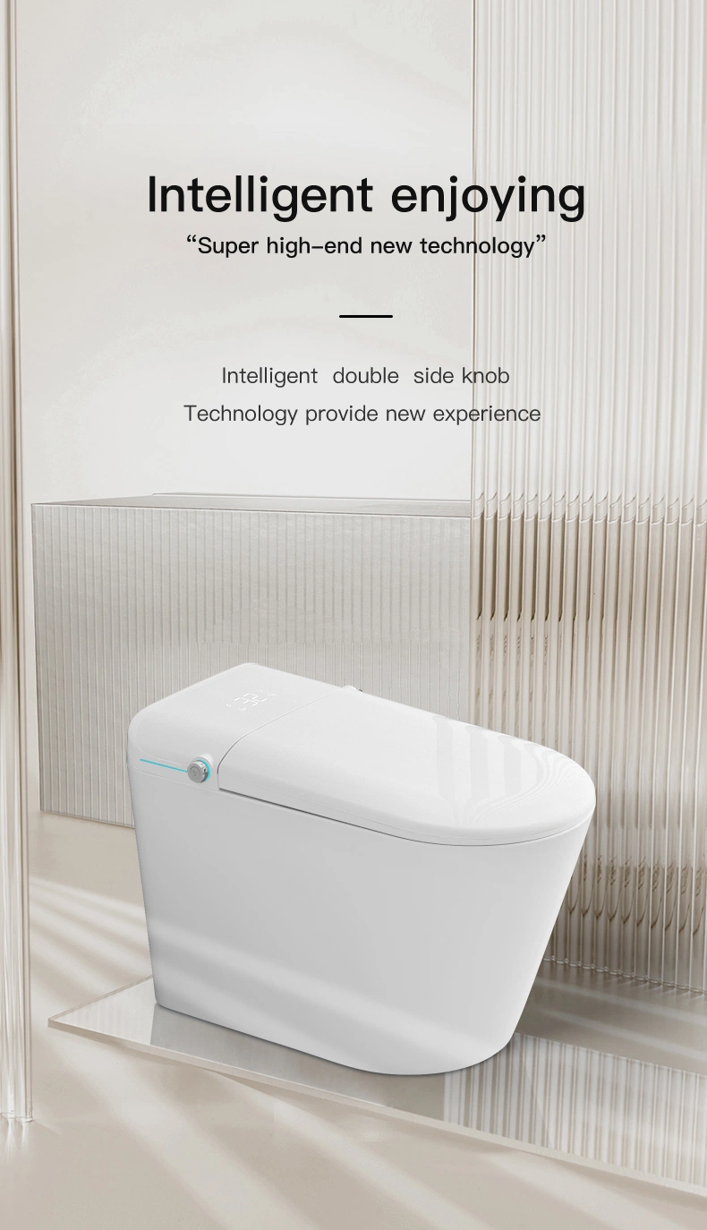 Smart Toilet Automatic Flush Toilet Instant Heating Seat