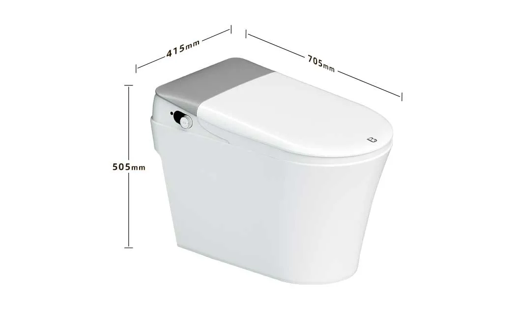 Intelligent Porcelain Wc Floor Mounted Bowl Bathroom Automatic Ceramic One Piece Siphon Toilet