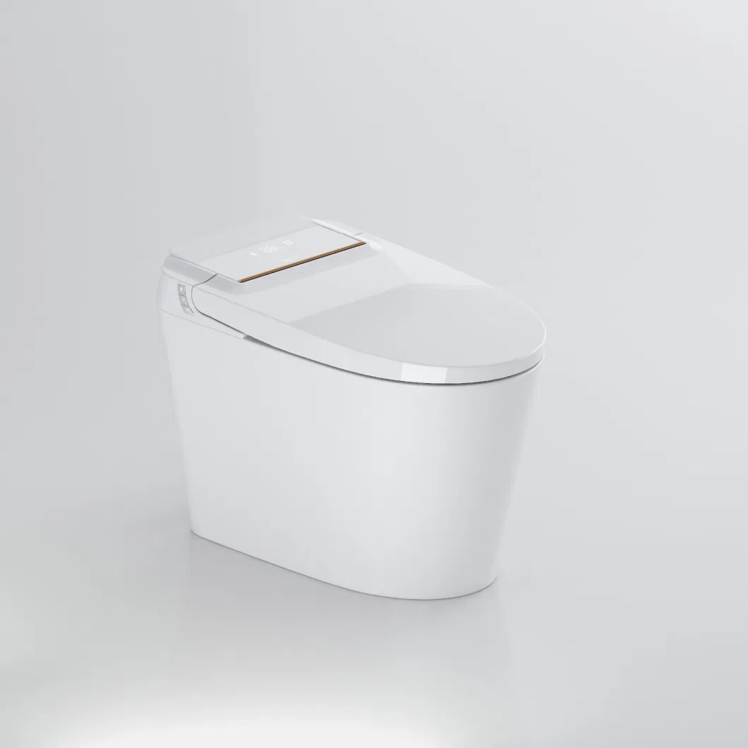 Modern Intelligent One Piece Ceramic Sanitary Ware Bathroom Automatic Smart Toilet