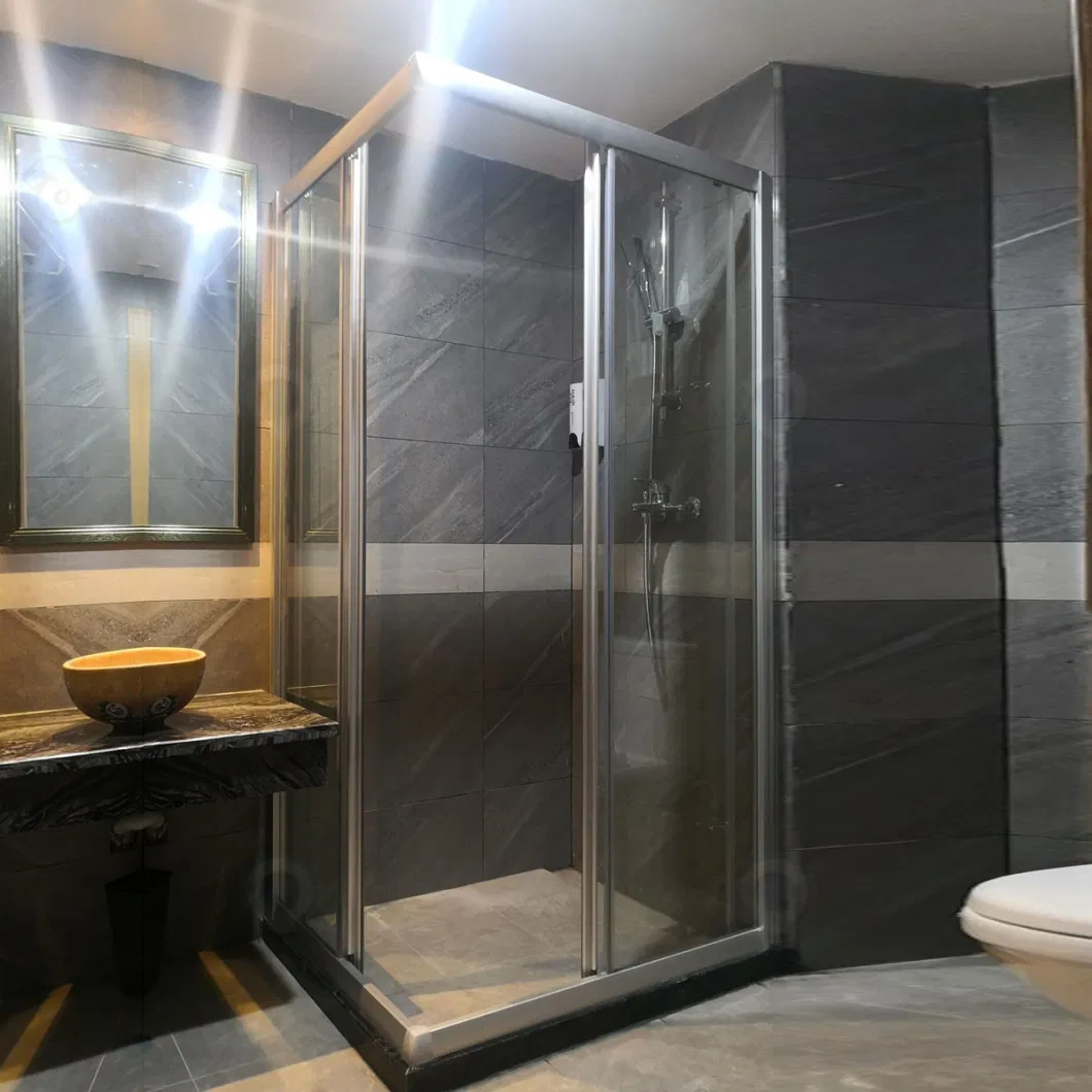 Tempered Clear and Frosted Glass Shower Enclosure Bathroom Shower