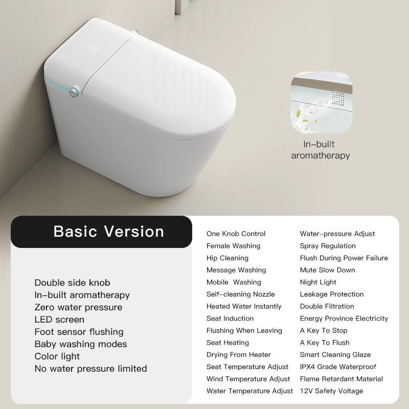 Smart Toilet Automatic Flush Toilet Instant Heating Seat