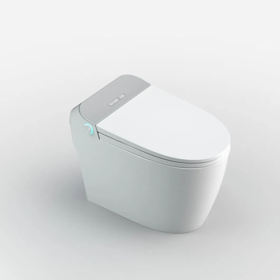 Modern Intelligent One Piece Ceramic Sanitary Ware Bathroom Automatic Smart Toilet