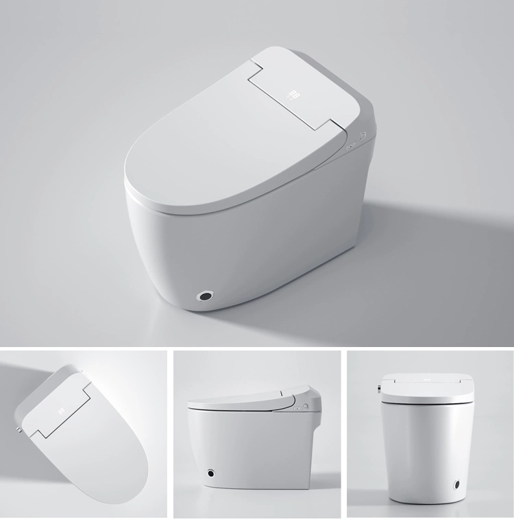 Toilet and Bidet with Drying Function