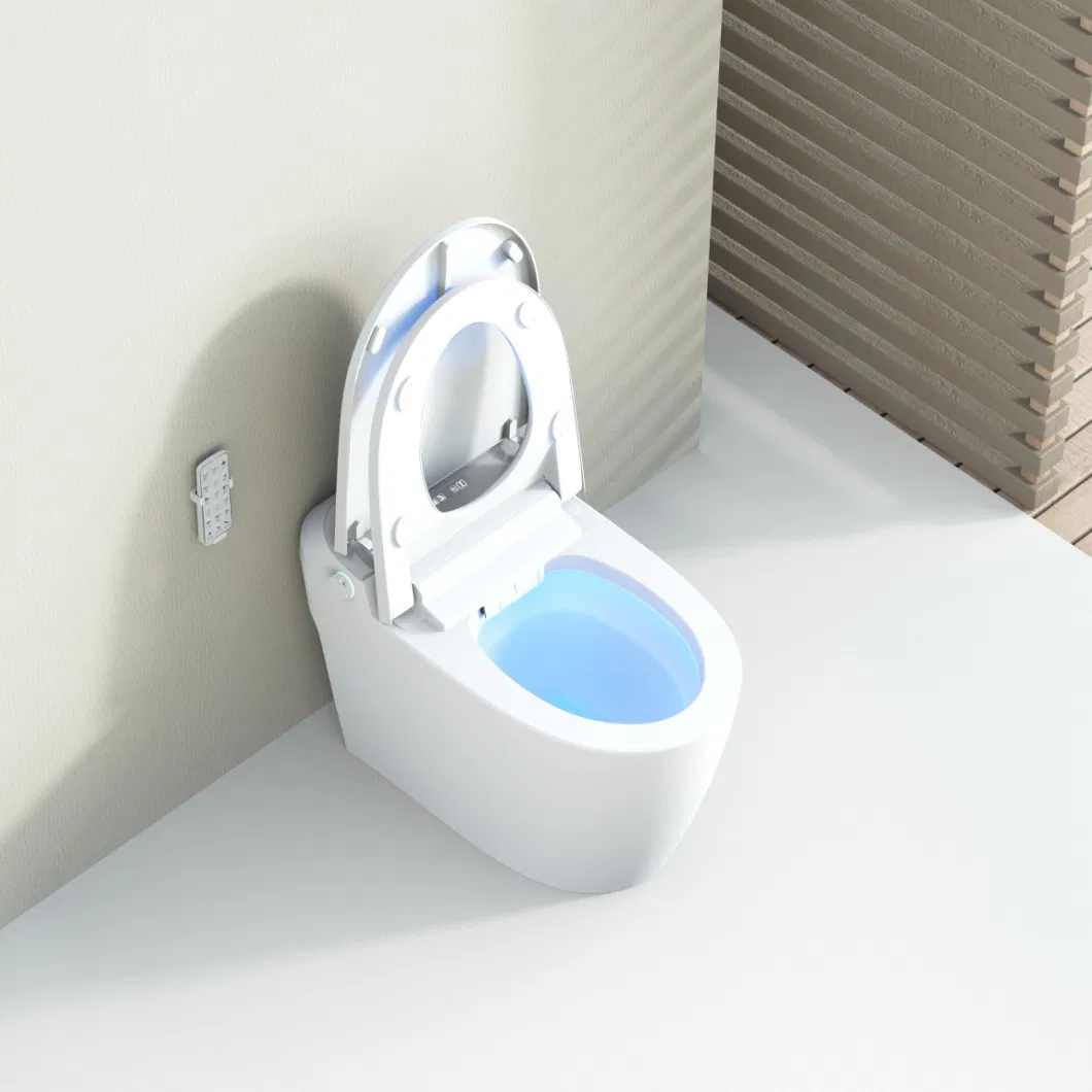 Modern Intelligent One Piece Ceramic Sanitary Ware Bathroom Automatic Smart Toilet