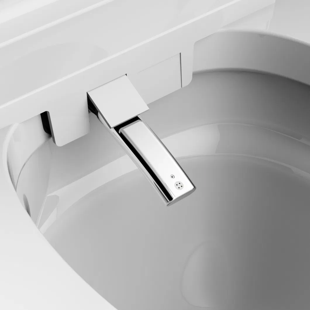 Modern Intelligent One Piece Ceramic Sanitary Ware Bathroom Automatic Smart Toilet