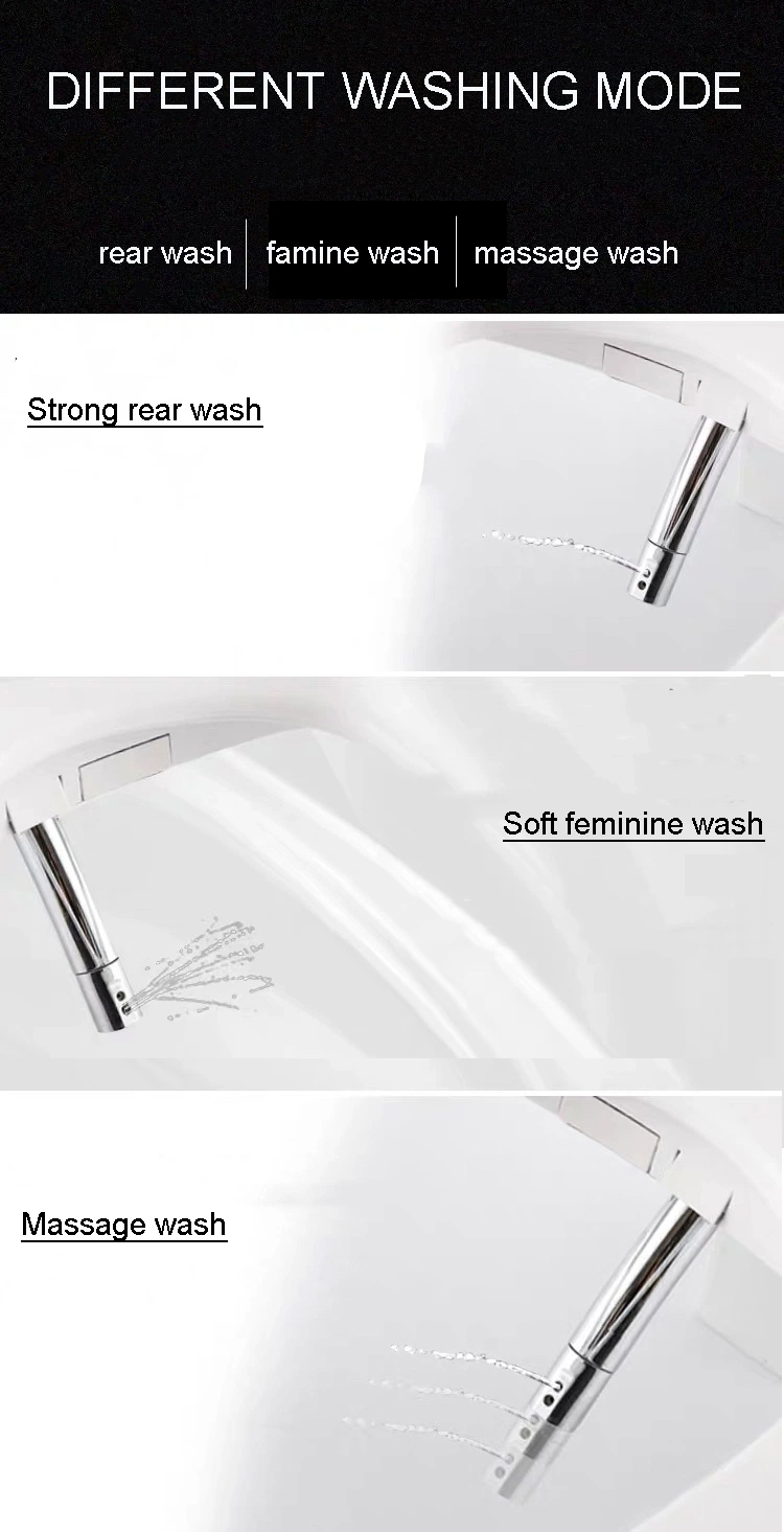 Luxury Feminine Wash Rear Wash Intelligent Smart Toilet Seat