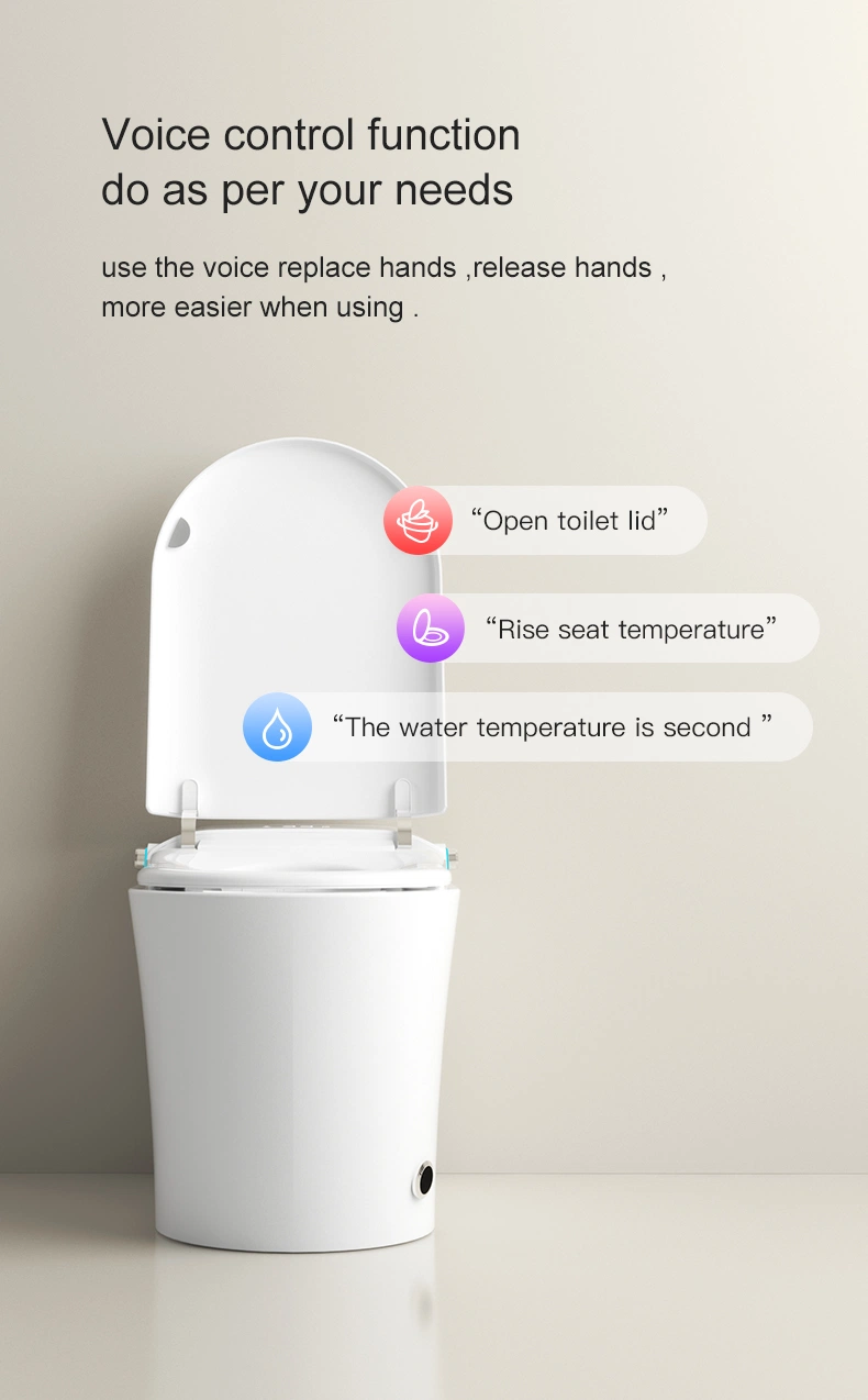 Smart Toilet Automatic Flush Toilet Instant Heating Seat