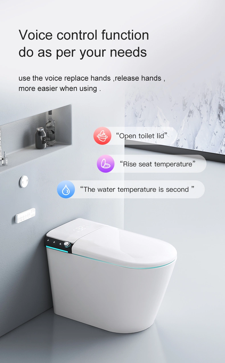 Smart Toilet Siphonic Intelligent Toilet Floor Mounted Toilet