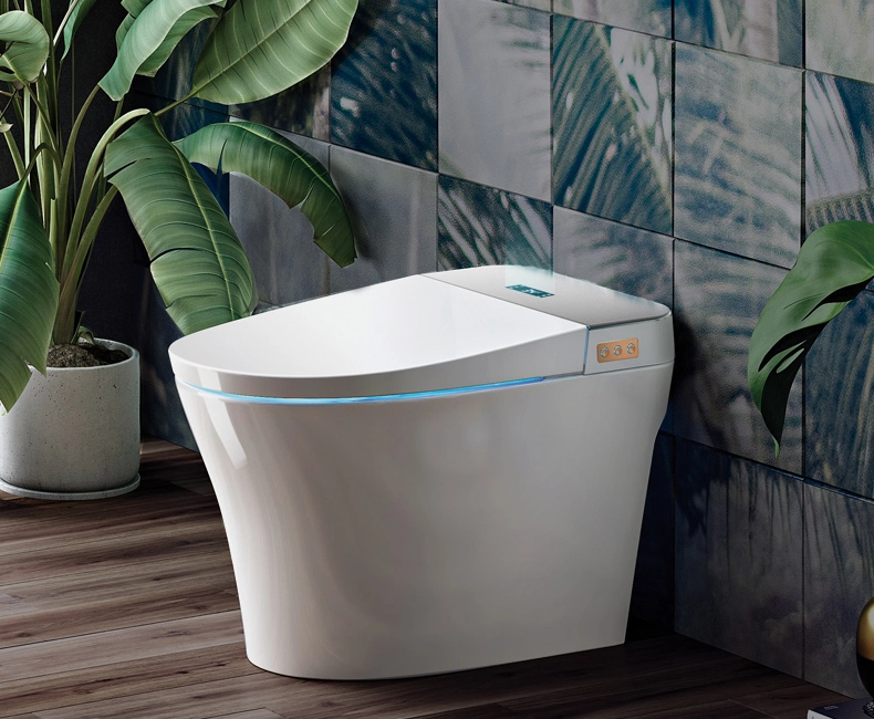 European Style Wc Smart Intelligent Toilet with Remote Control