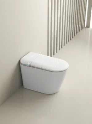  Sedile per riscaldamento istantaneo WC a filo automatico Smart toilet