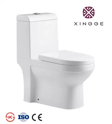  Bagno a pavimento in ceramica igienica di stile popolare a doppio filo uno WC in pezzi