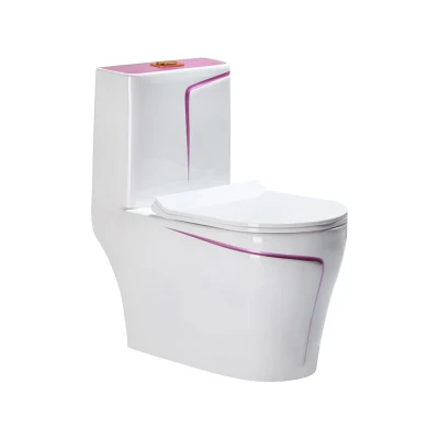  WC bagno in ceramica intelligente moderno con telecomando impermeabile Controllo