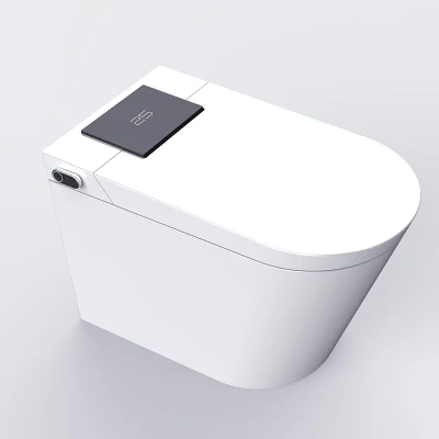  WC igienico Smart con fornitori di funzioni durevoli