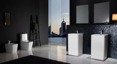 Ceramica igienicalita Mobili bagno armadio acqua WC un pezzo (Hz5546)