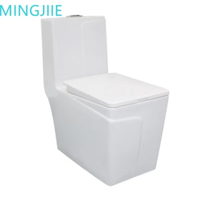  Sanitari armadio acqua bagno Ceramic quadrato un pezzo di lavaggio WC