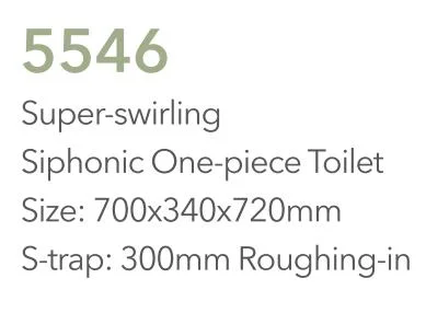Ceramica igienicalita Mobili bagno armadio acqua WC un pezzo (Hz5546)