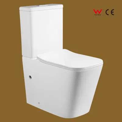  2023 Watermark CE Closestool Factory Price Luxury Multi Colour WC Bagno WC
