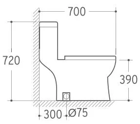 Ceramica igienicalita Mobili bagno armadio acqua WC un pezzo (Hz5546)