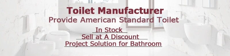 Ovs Cupc American Standard Easy Clean Hotel Bathroom Matt Black Ceramic Dual Flush Syphonic One Piece Toilet