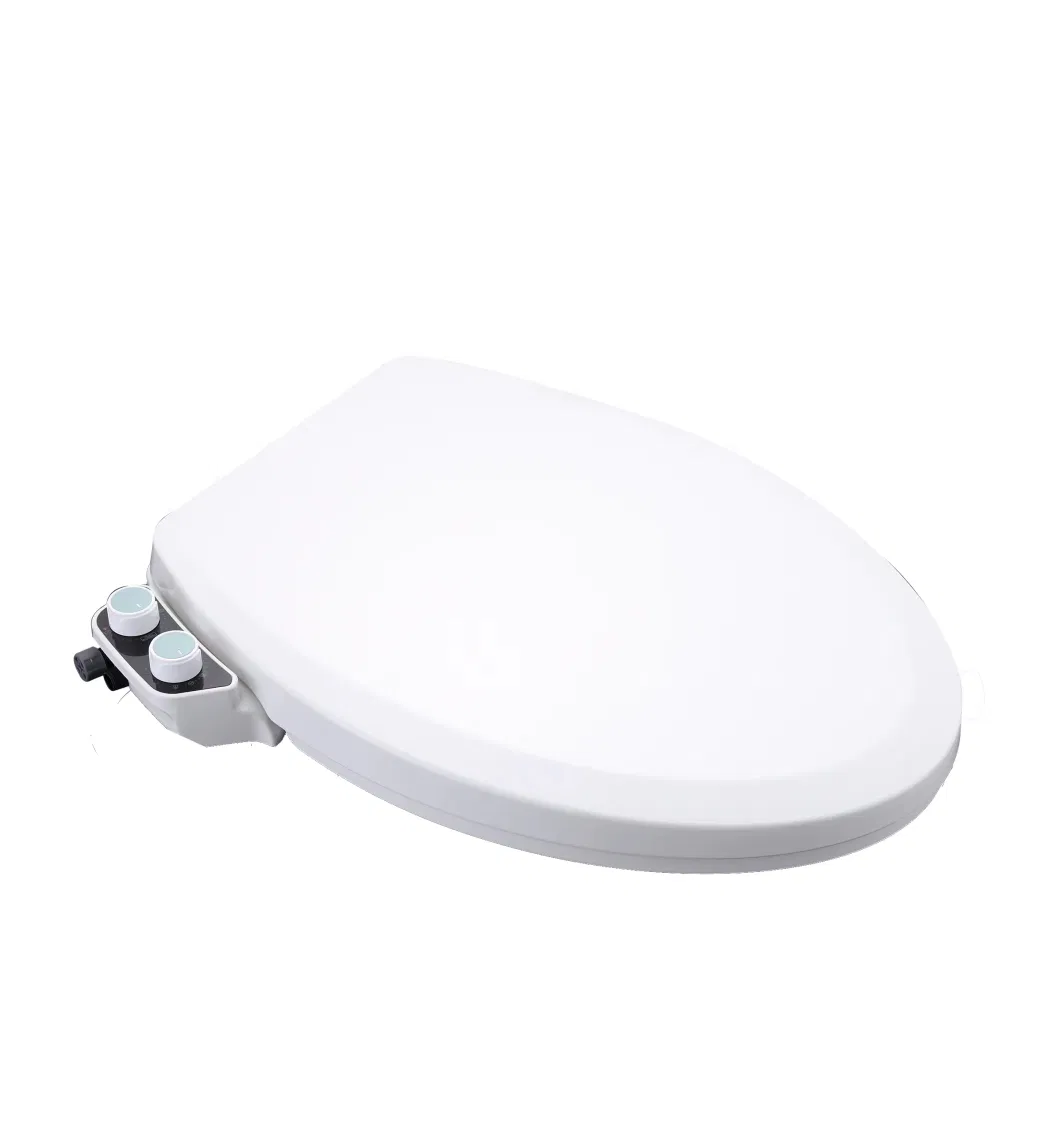 Smart Wash Dry Electric Bidet Toilet Seat Unautomatic