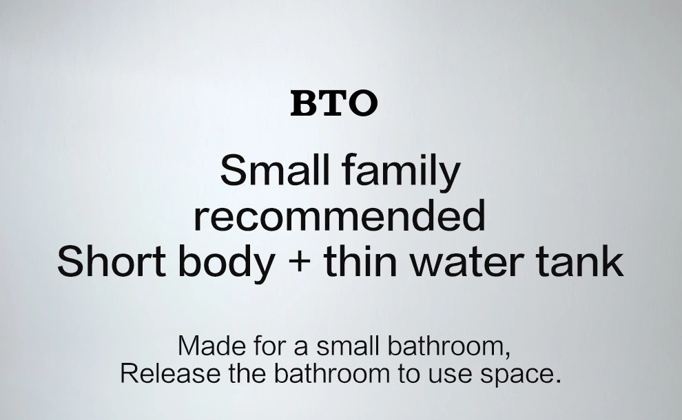 Bto Ceramic One-Piece Siphonic Commode Wholesale Bathroom White Bathroom Toilet