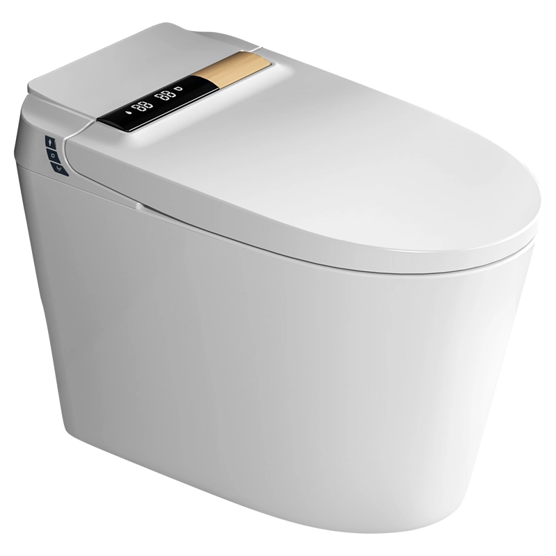 Modern Intelligent One Piece Ceramic Sanitary Ware Bathroom Automatic Smart Toilet