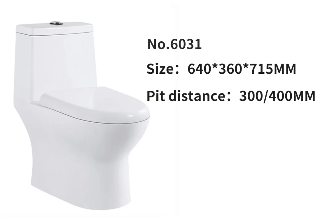 Modern Design Siphonic Bathroom Sanitaryware Wc White One-Piece Toilet