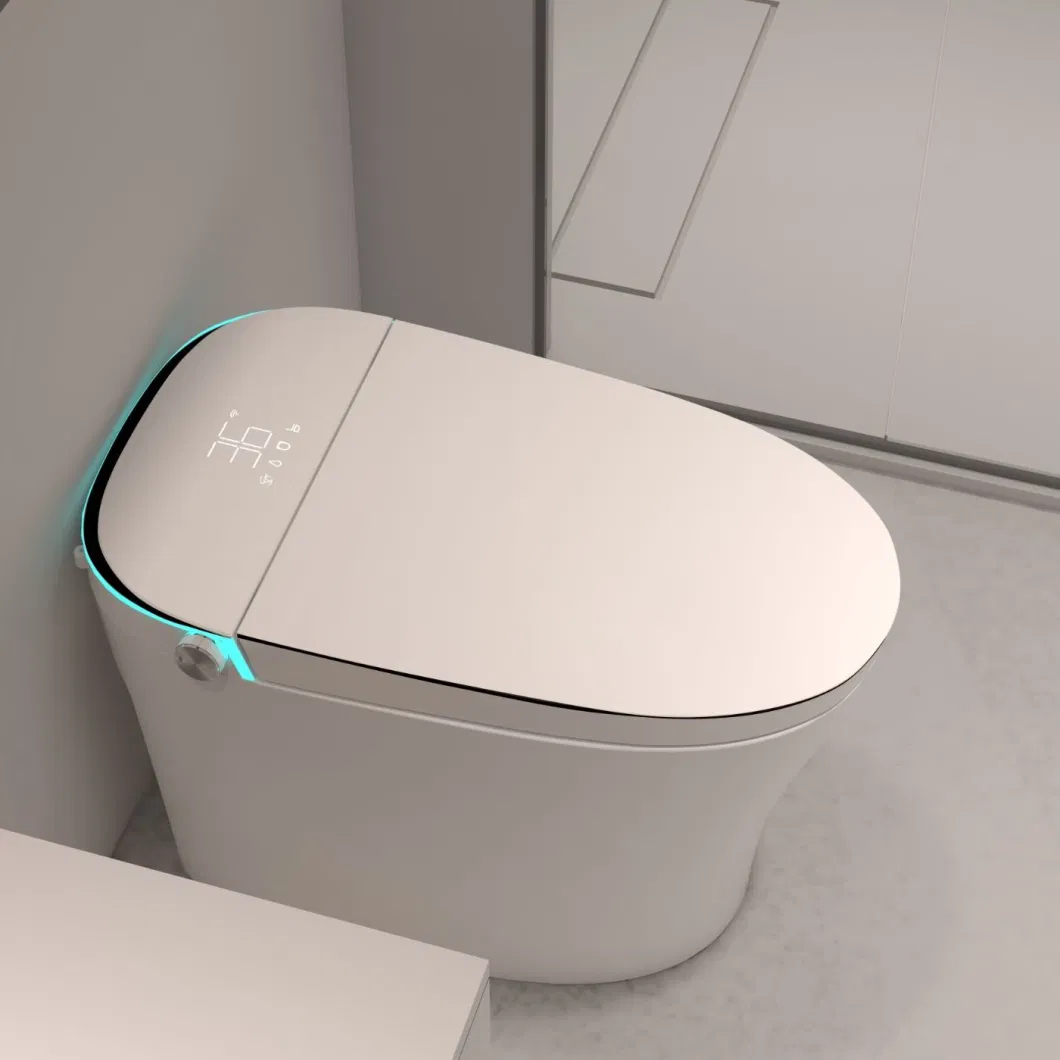 Modern Intelligent One Piece Ceramic Sanitary Ware Bathroom Automatic Smart Toilet