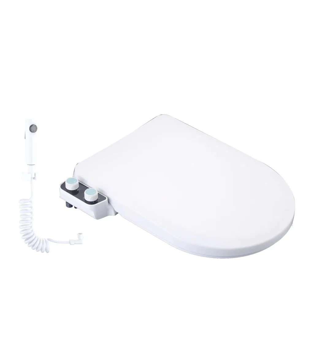 Ultra Slim Trendy Intelligent Wc Bidet Toilet Seat