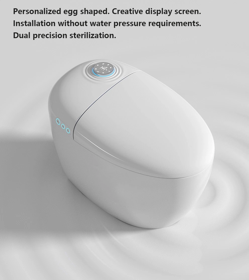 European Style Smart Intelligent Toilet Remote Control