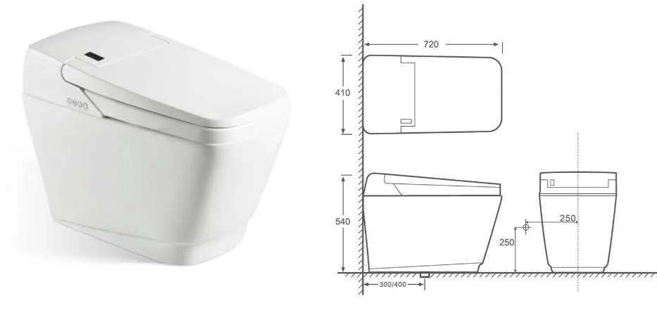 Ortonbaths One Piece Intelligent Elongated Toilet with Remote Control-Warm Water Sprayer Dryer, Auto Flushing One Piece Toilet