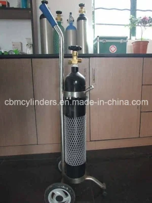 Mini Oxygen Regulator (Mini-size Pin Index)