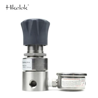 Air Gas Regulators 316 Stainless Steel Pressure Regulator Valves